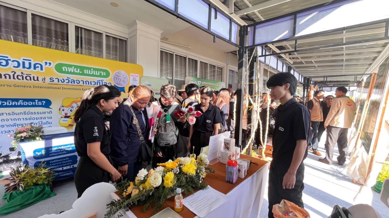 ภาพประกอบที่ 8