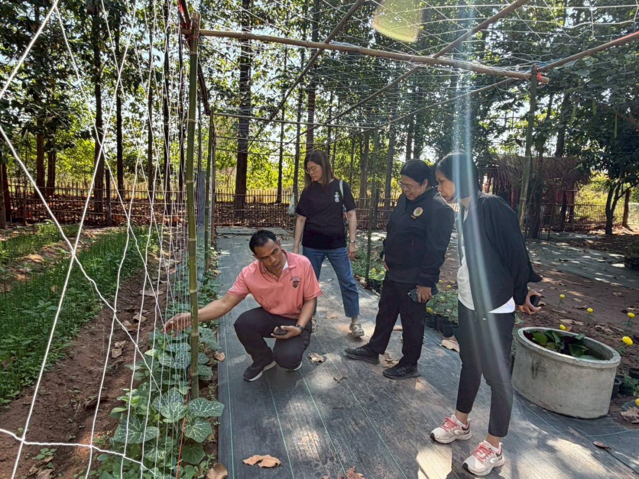 ภาพประกอบที่ 1