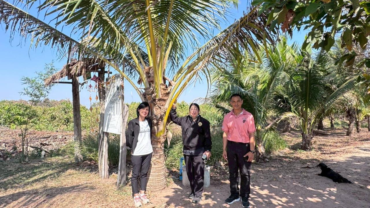 ภาพประกอบที่ 2