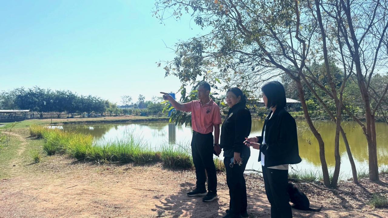 ภาพประกอบที่ 3