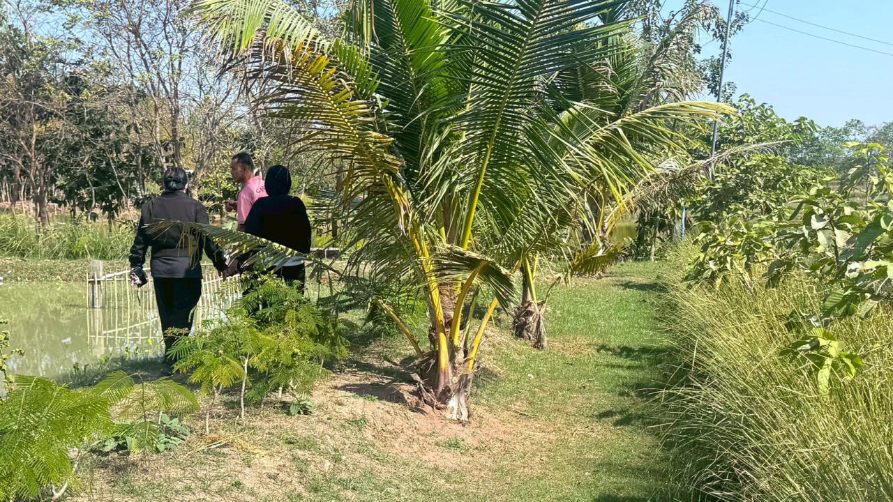 ภาพประกอบที่ 4