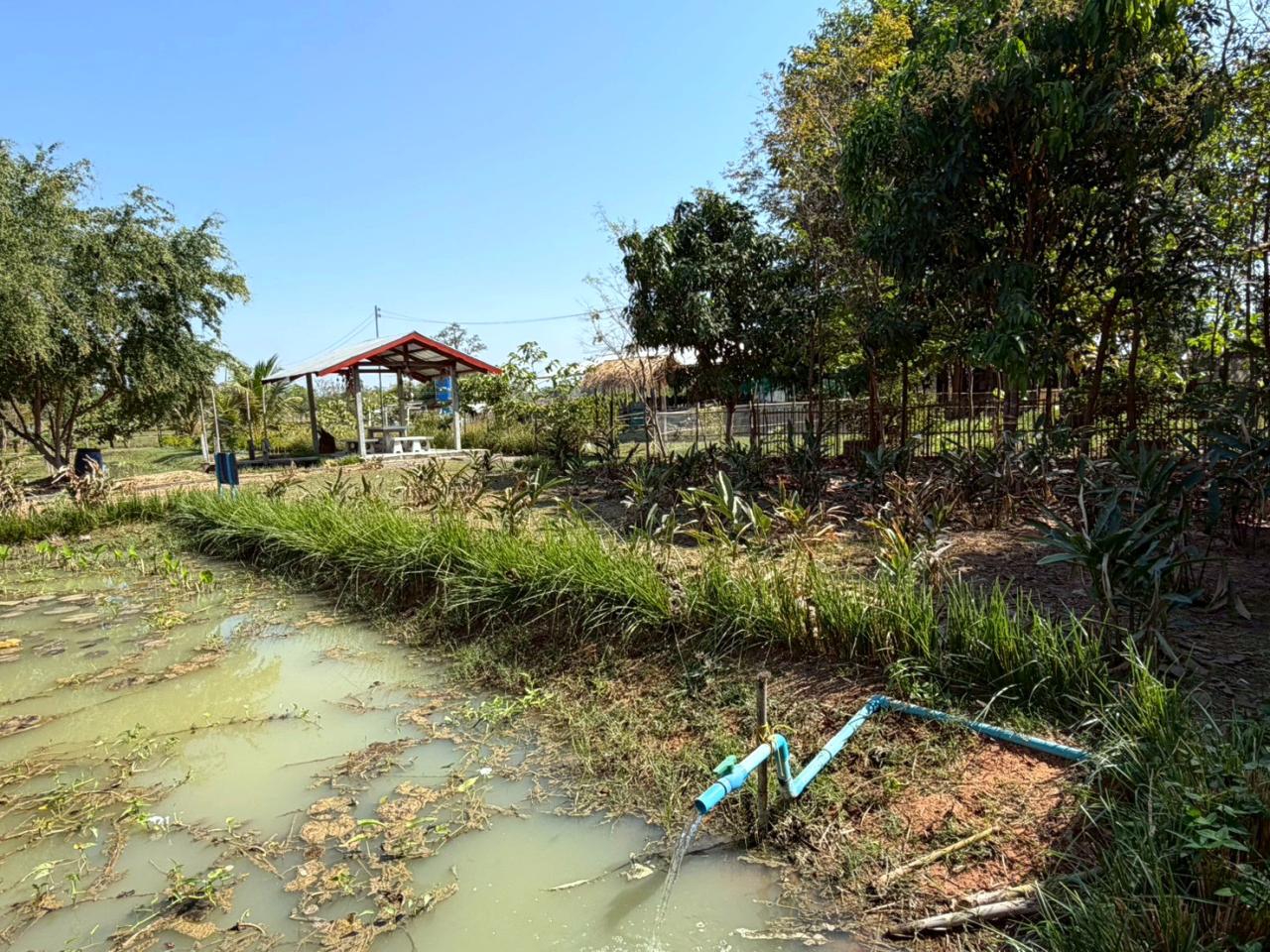 ภาพประกอบที่ 5