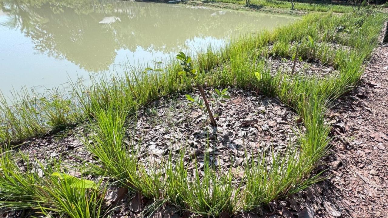 ภาพประกอบที่ 6