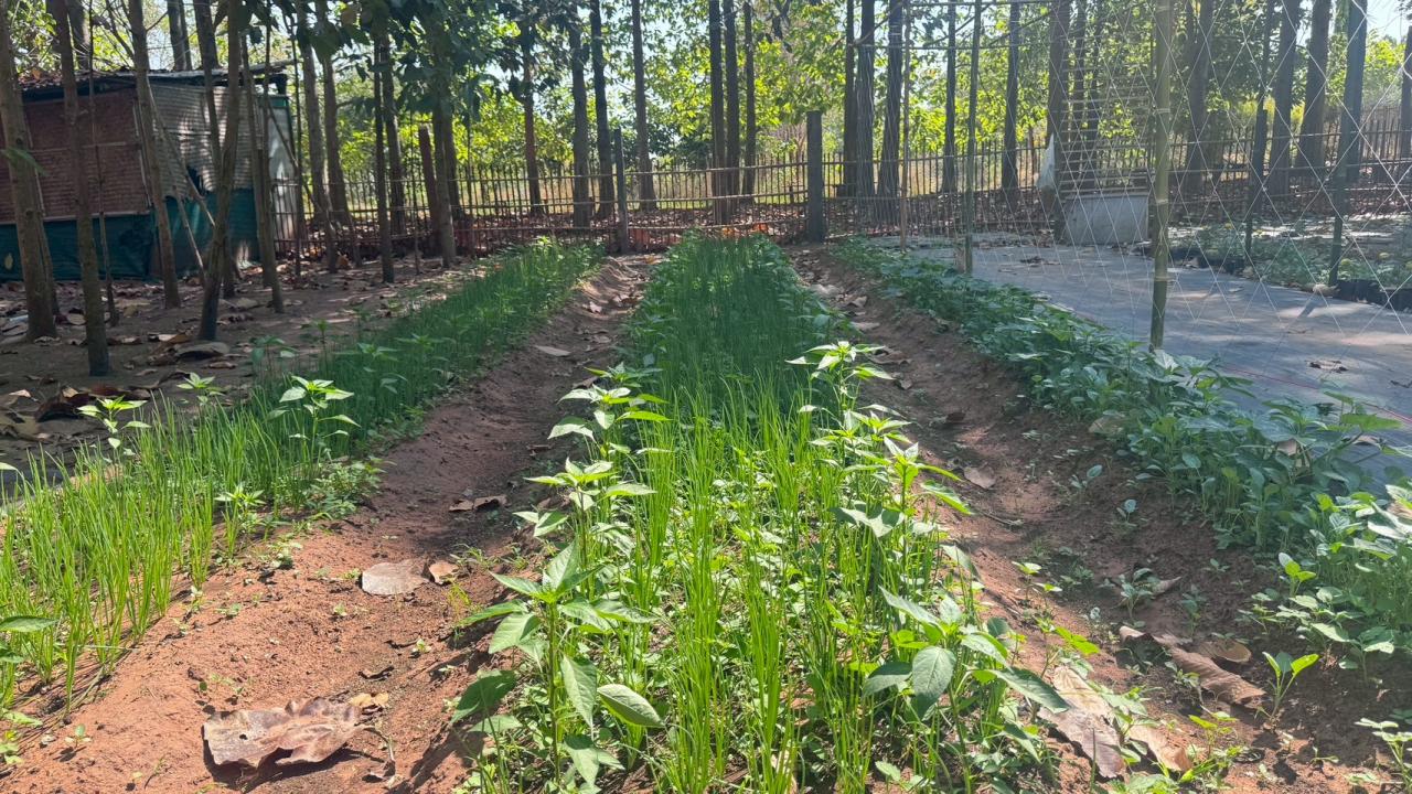 ภาพประกอบที่ 7