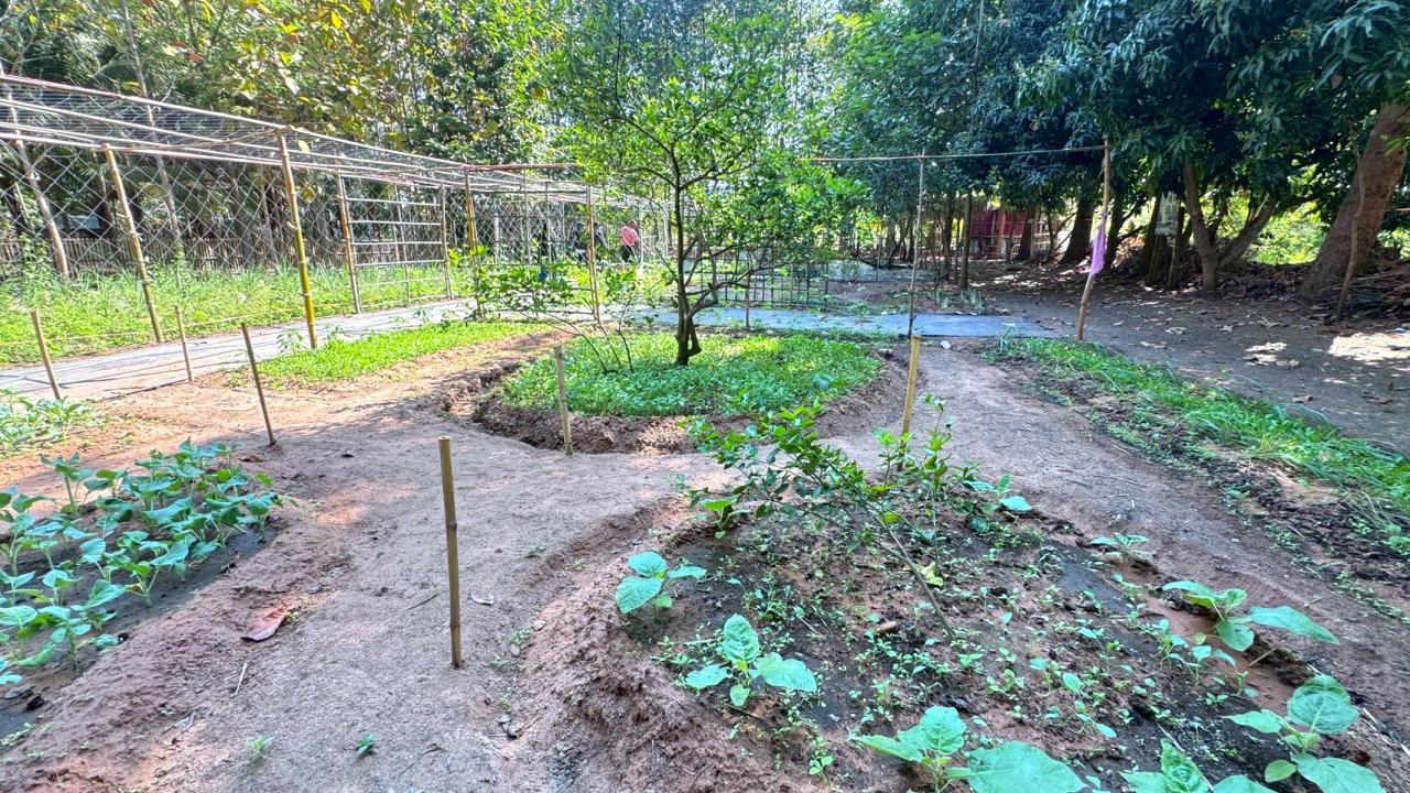 ภาพประกอบที่ 8