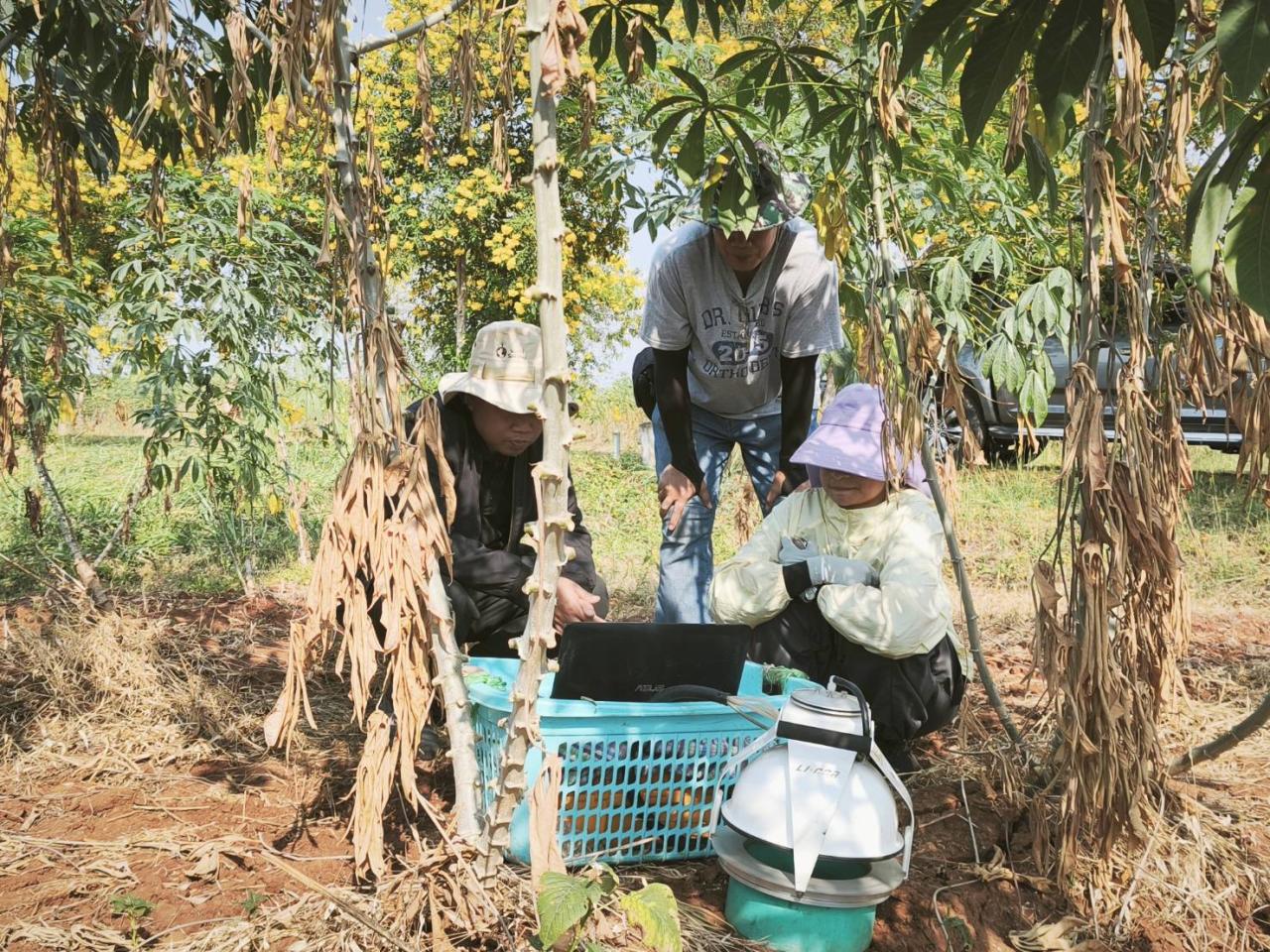 ภาพประกอบที่ 1