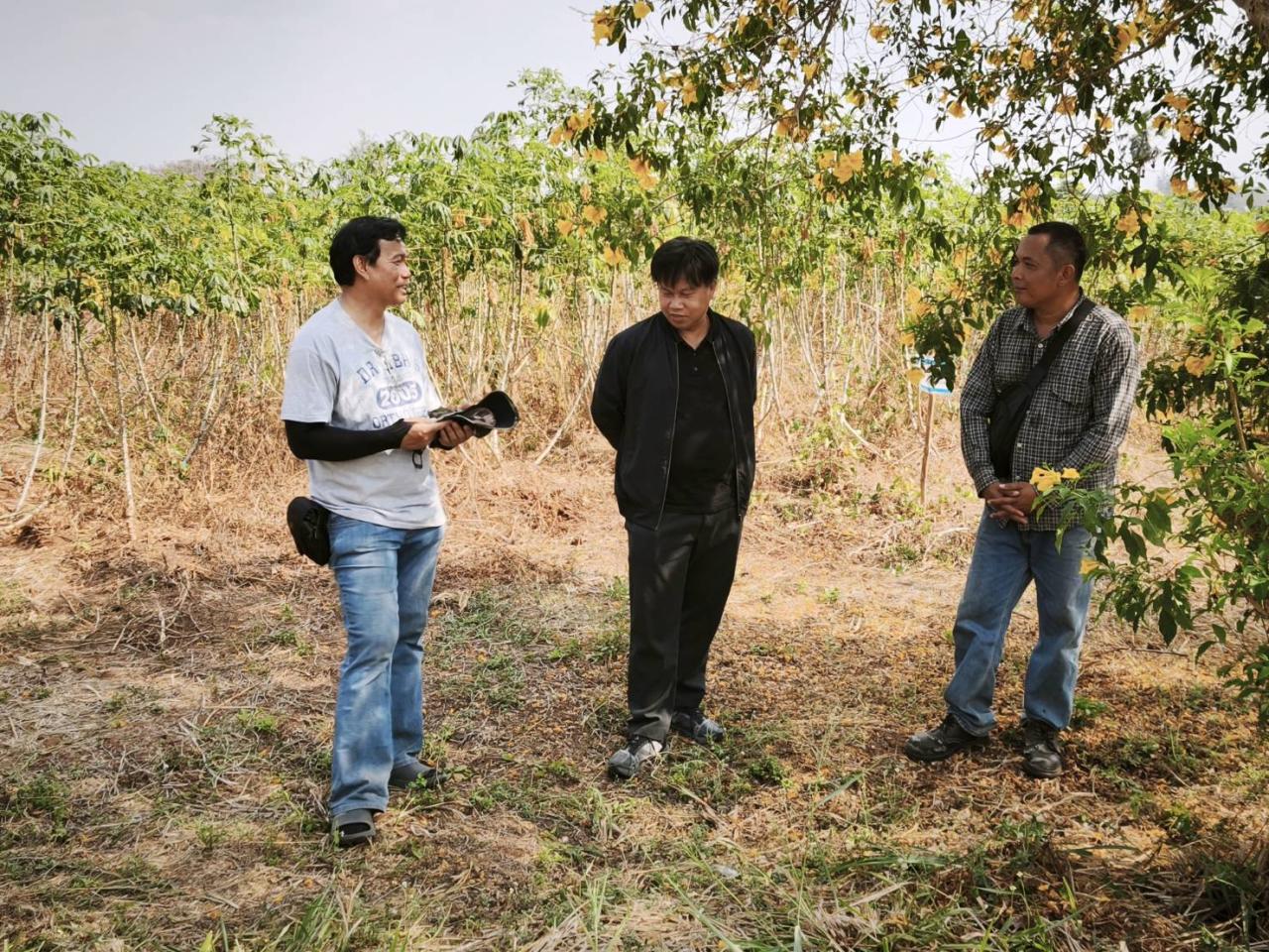 ภาพประกอบที่ 2