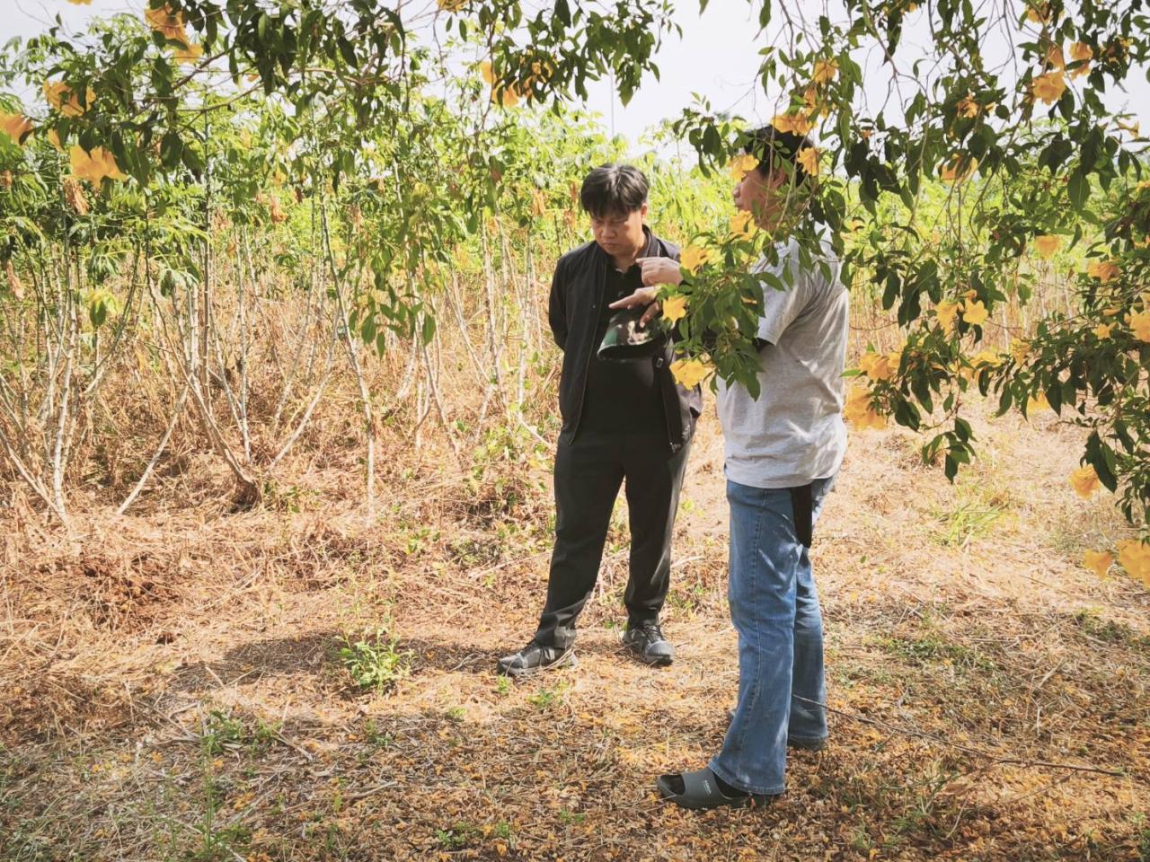 ภาพประกอบที่ 3