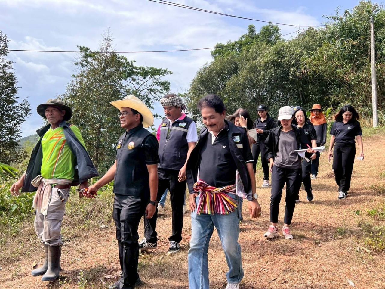 ภาพประกอบที่ 0