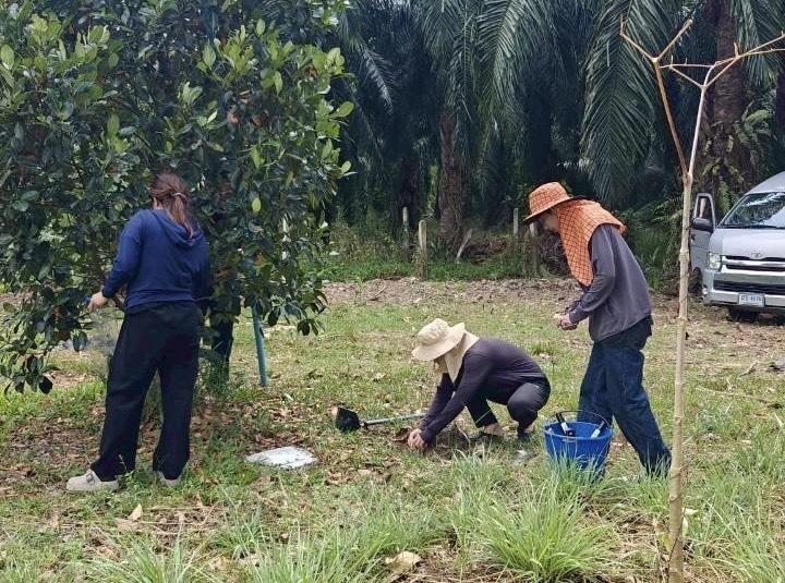 ภาพประกอบที่ 5
