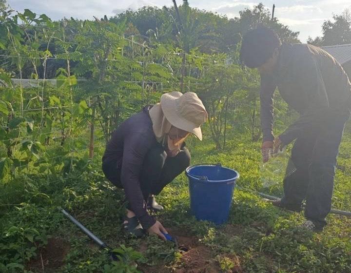 ภาพประกอบที่ 8