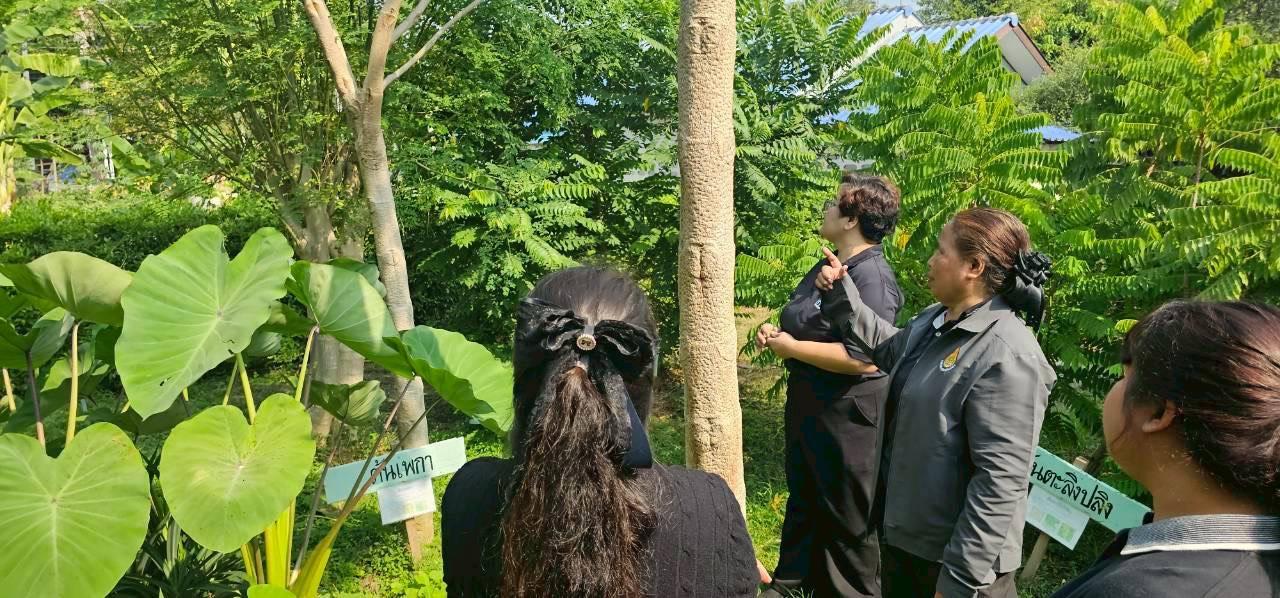 ภาพประกอบที่ 1