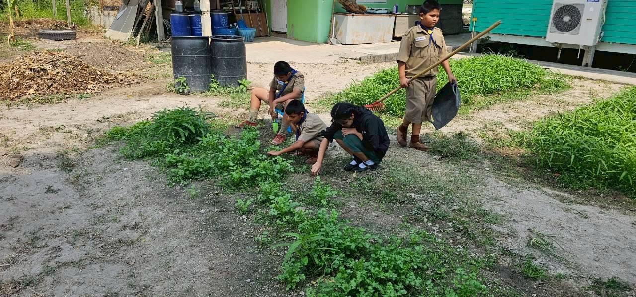 ภาพประกอบที่ 3