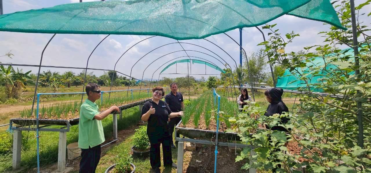 ภาพประกอบที่ 10