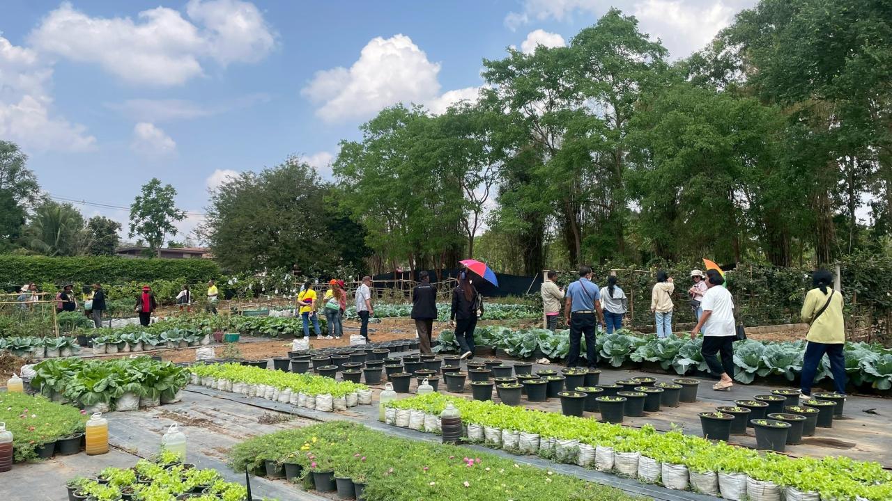 ภาพประกอบที่ 1