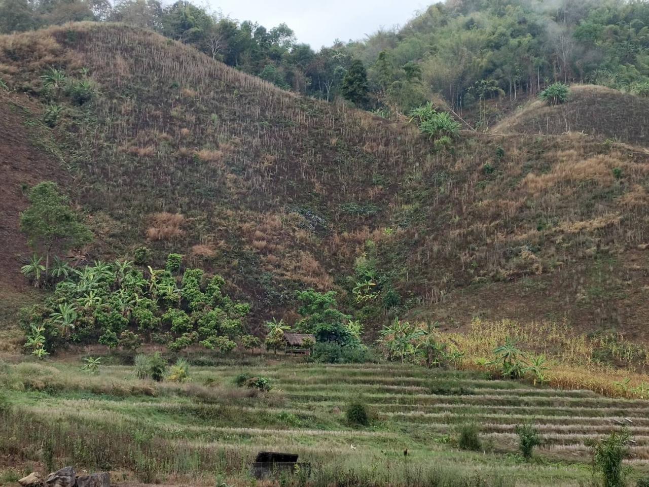 ภาพประกอบที่ 0