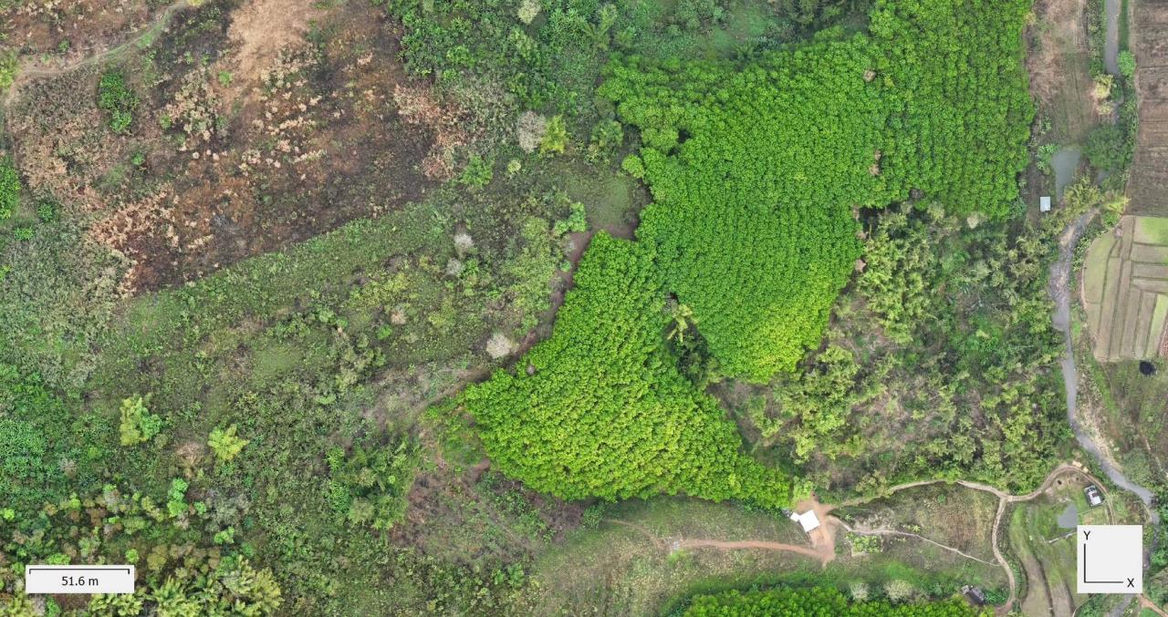 ภาพประกอบที่ 3