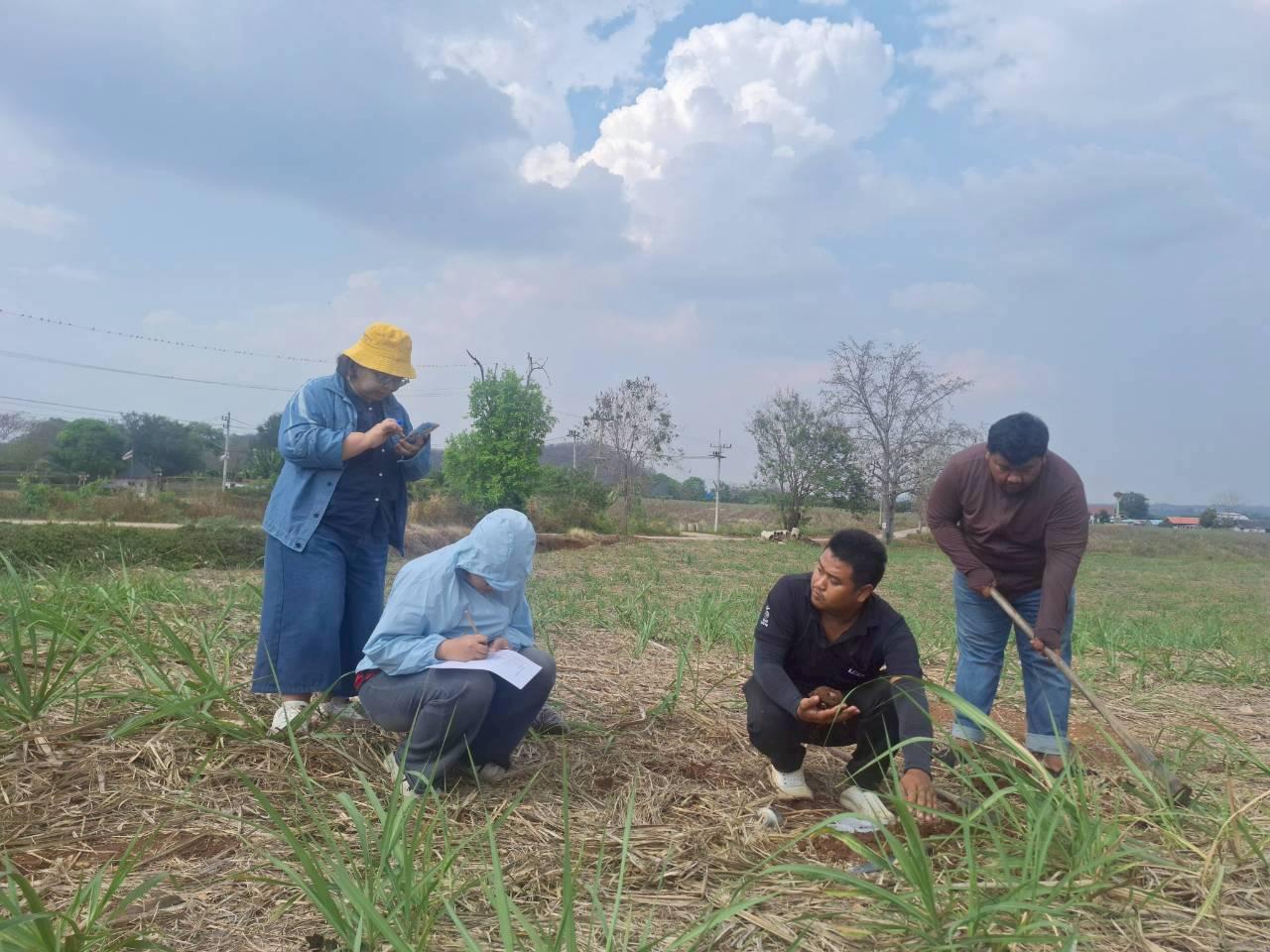 ภาพประกอบที่ 2