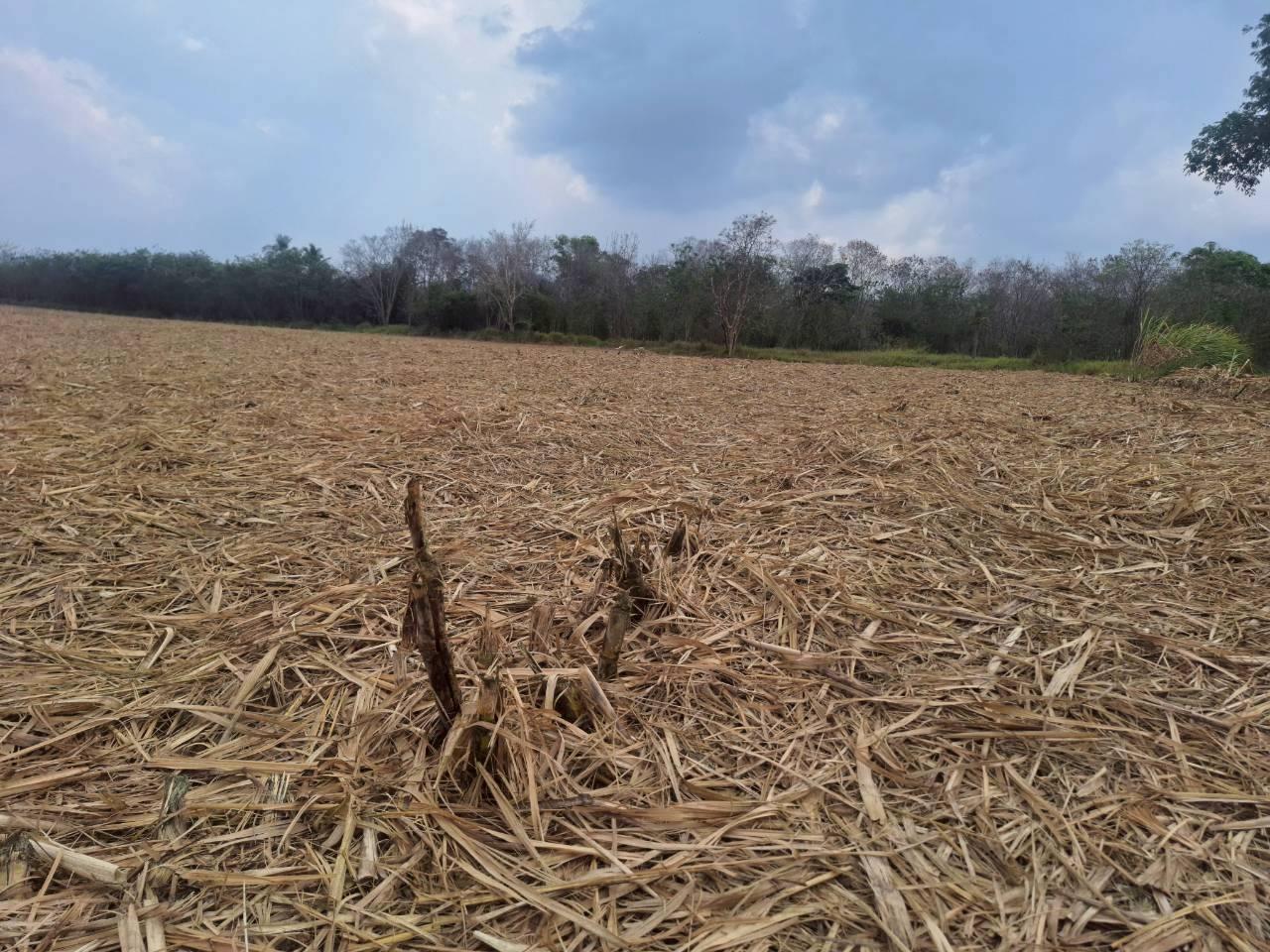 ภาพประกอบที่ 8