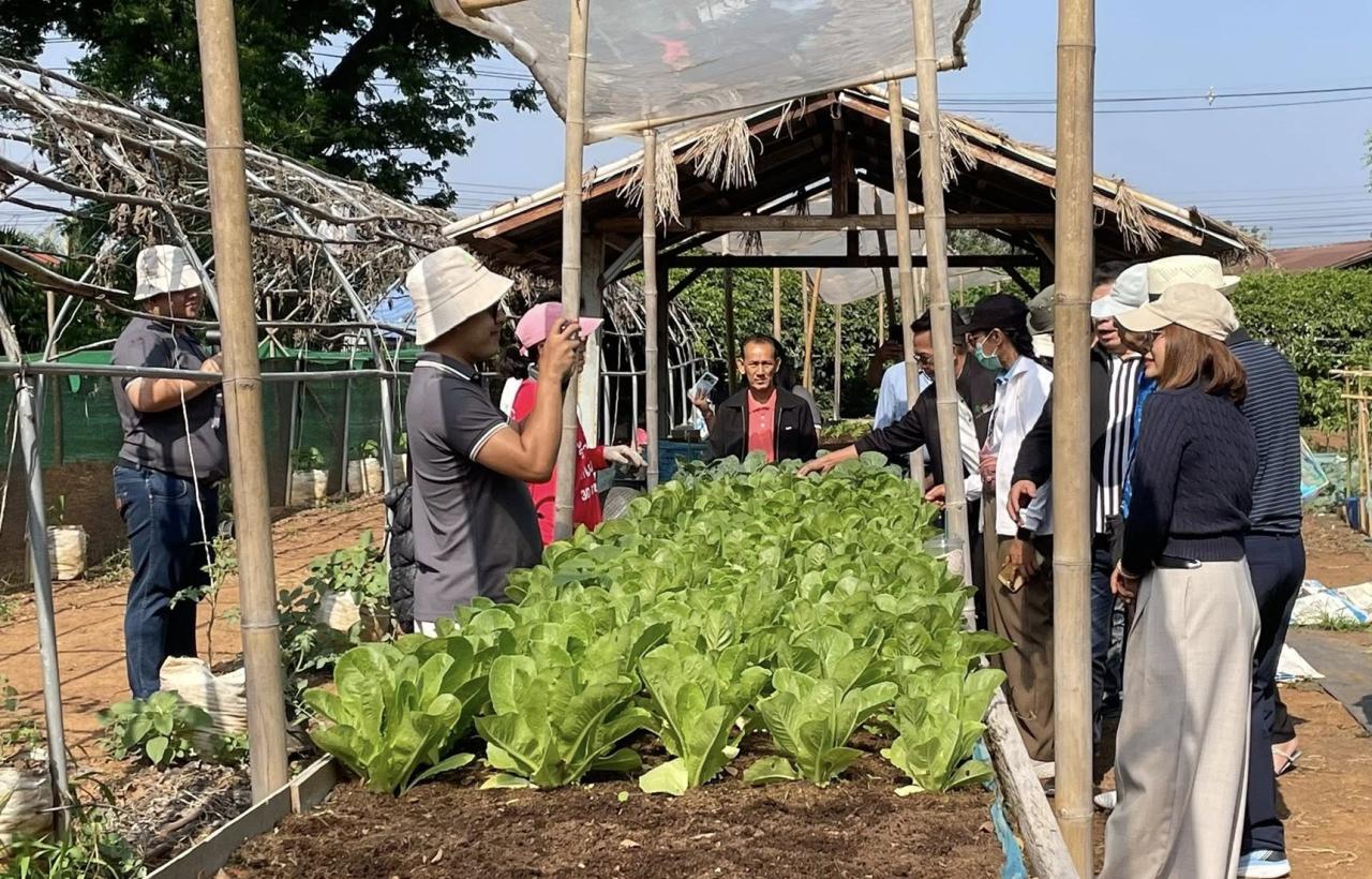 ภาพประกอบที่ 3