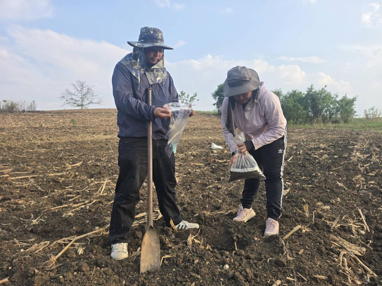 ภาพประกอบที่ 8