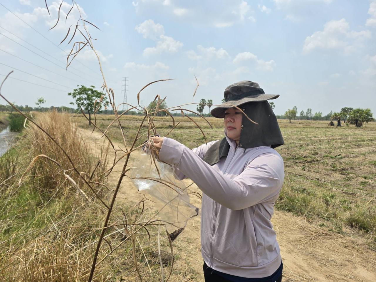 ภาพประกอบที่ 2