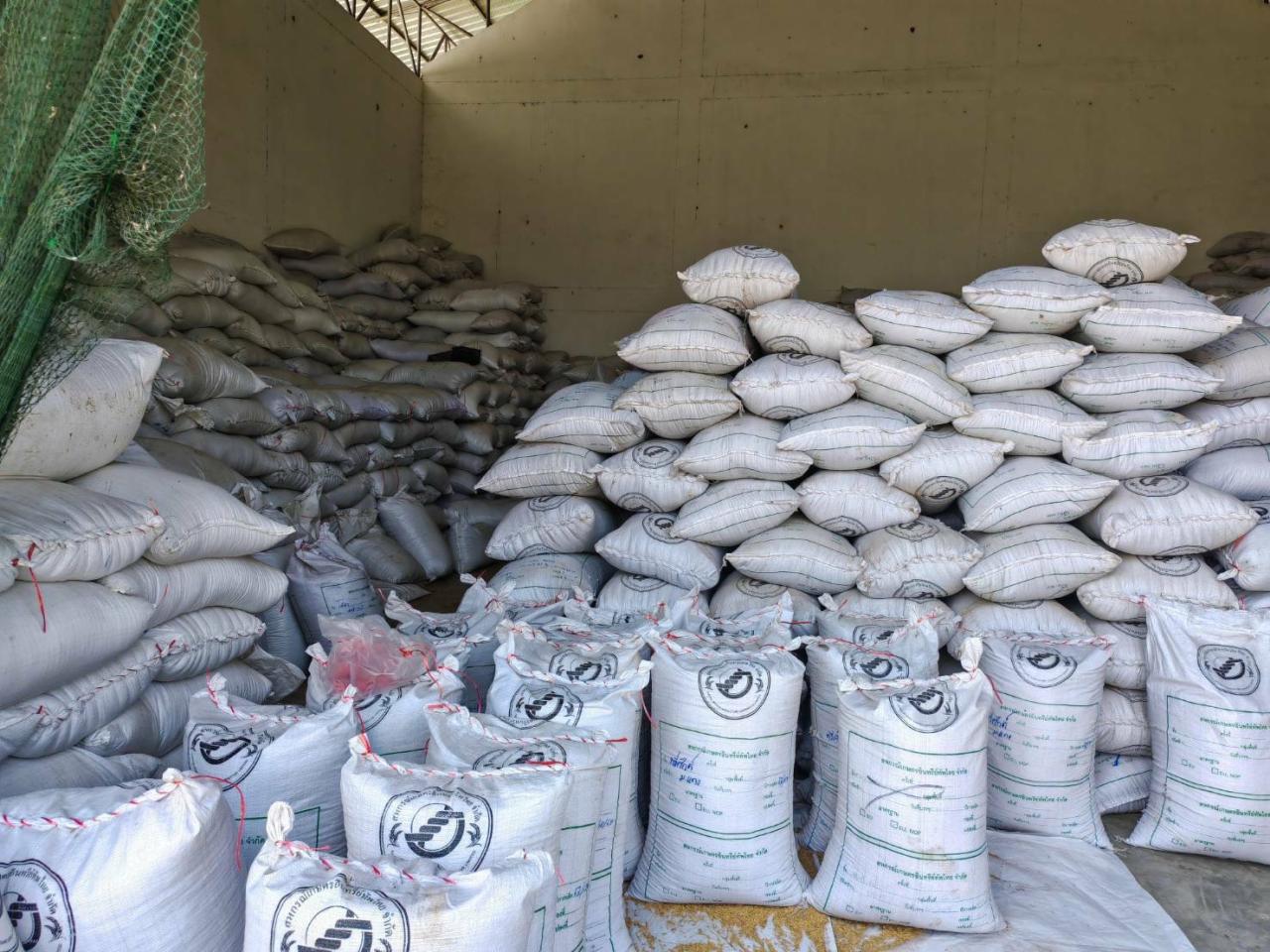 ภาพประกอบที่ 10