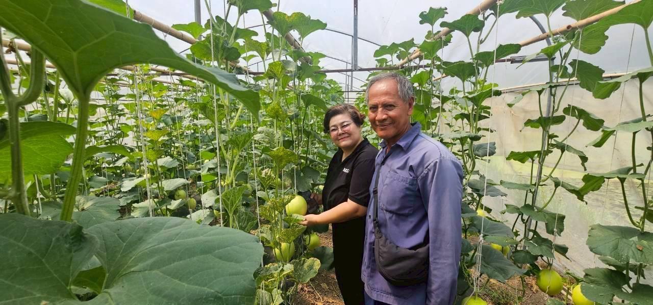 ภาพประกอบที่ 0