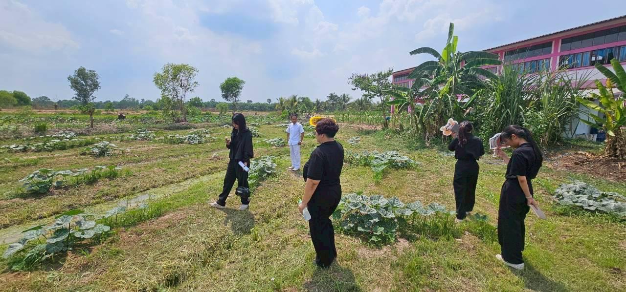 ภาพประกอบที่ 3