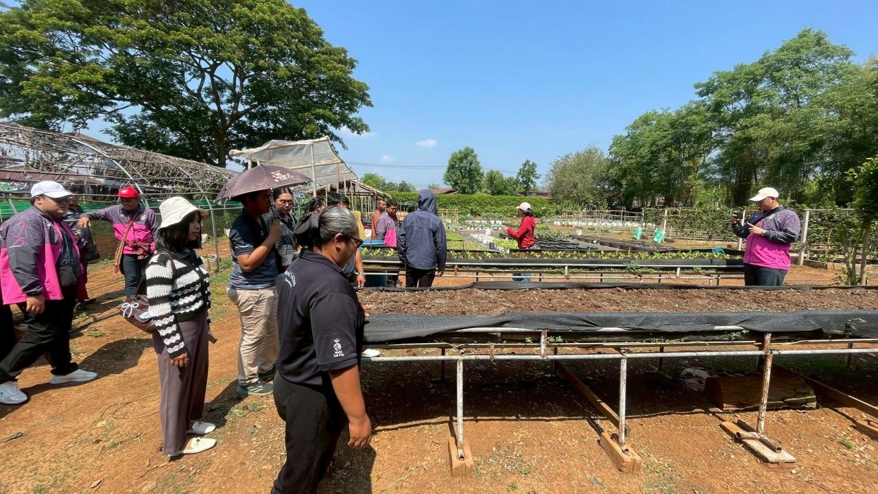 ภาพประกอบที่ 2