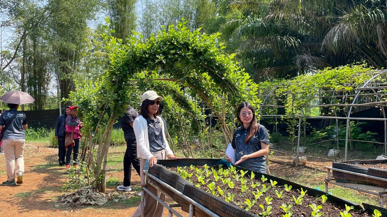 ภาพประกอบที่ 3