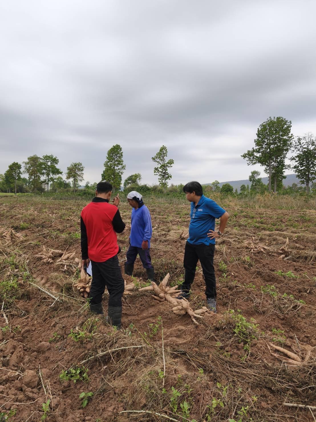 ภาพประกอบที่ 0