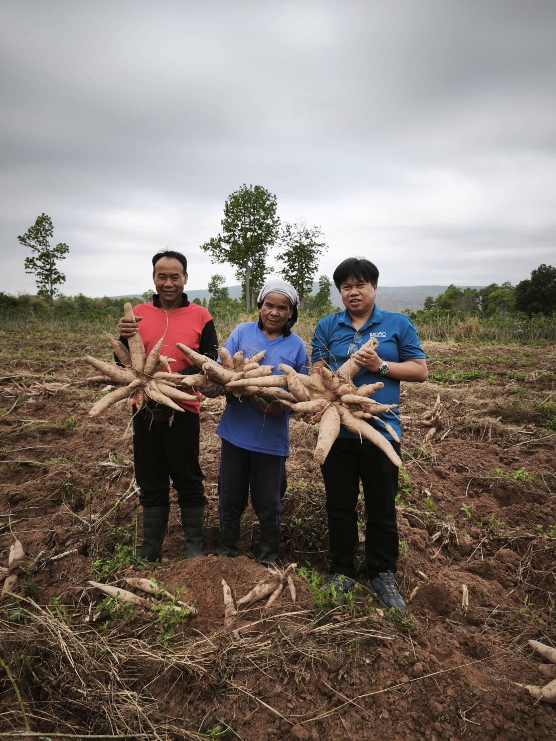 ภาพประกอบที่ 1