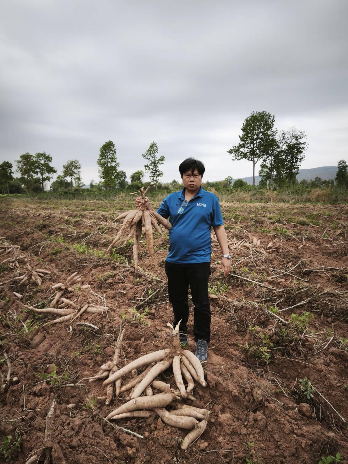 ภาพประกอบที่ 2