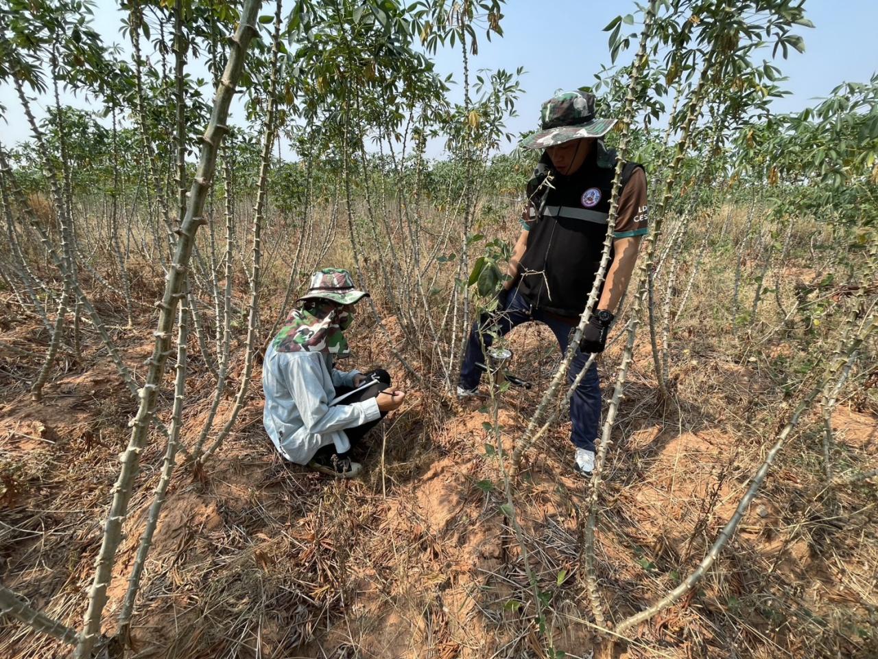 ภาพประกอบที่ 3