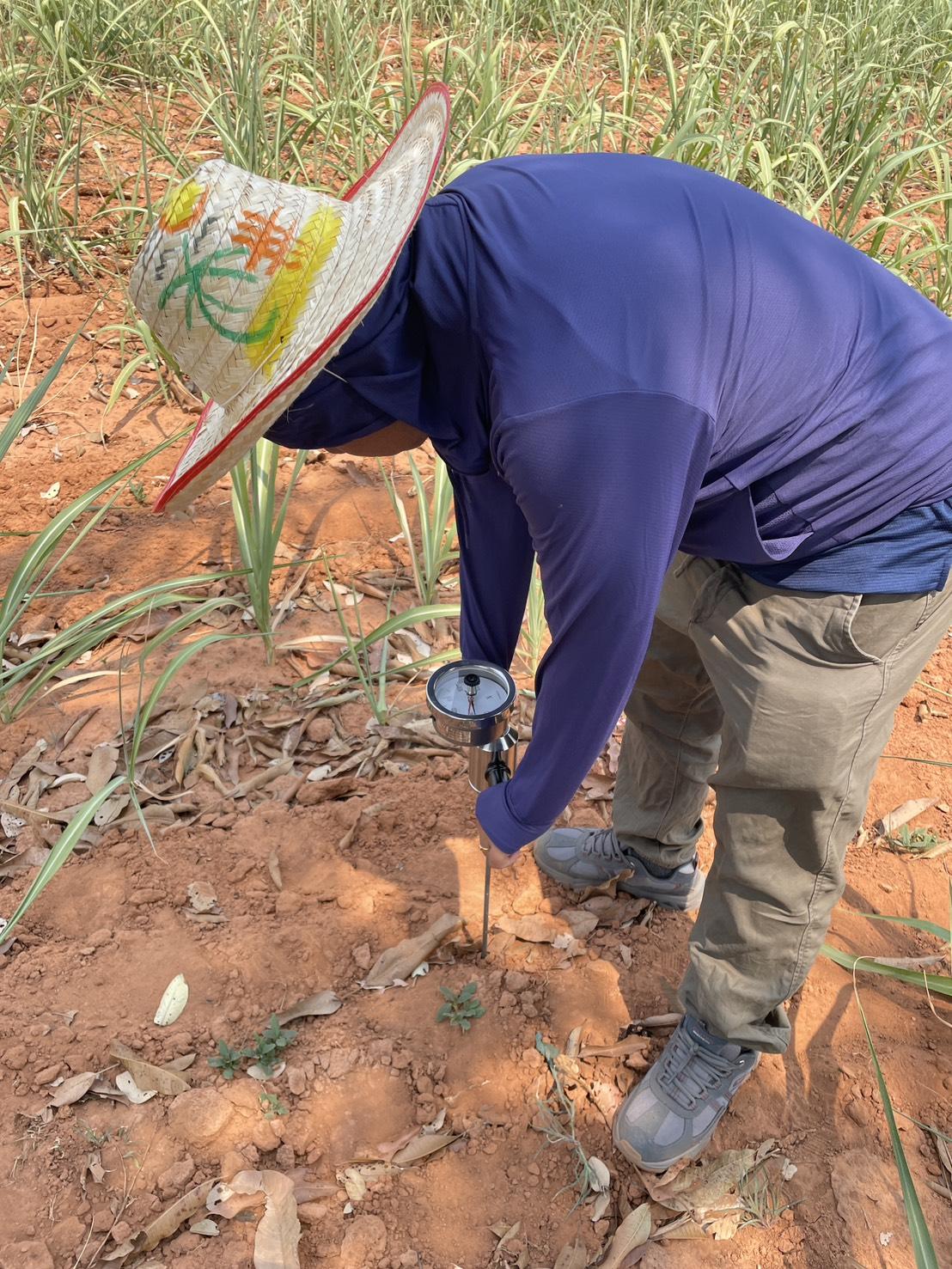 ภาพประกอบที่ 4