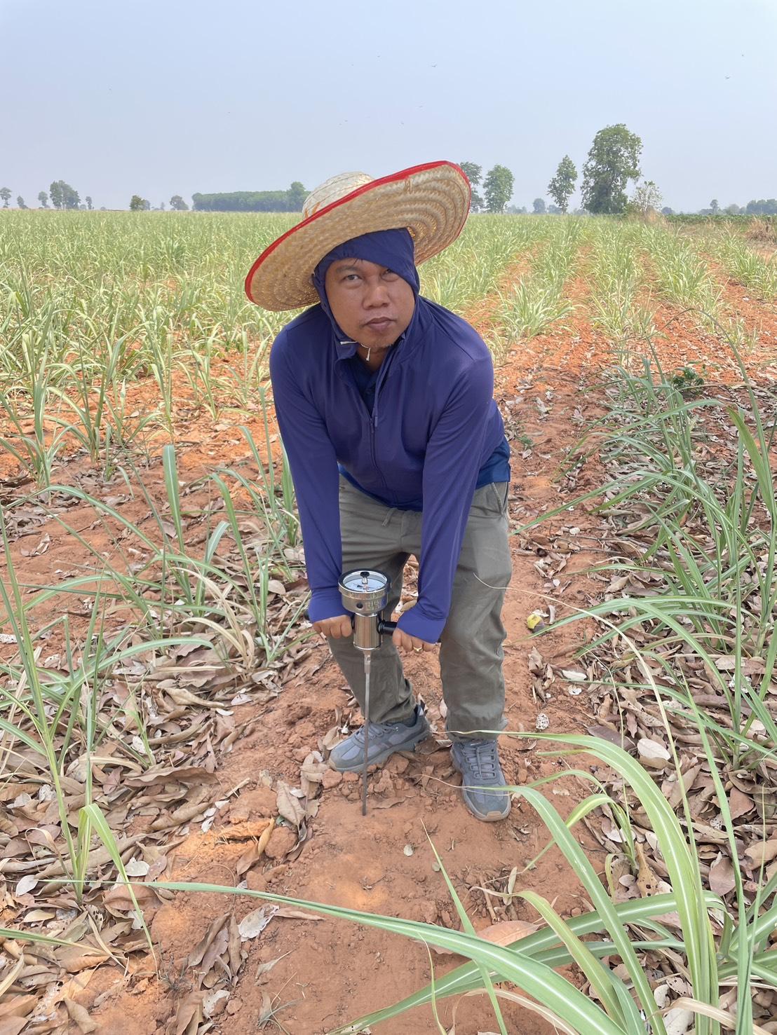 ภาพประกอบที่ 6