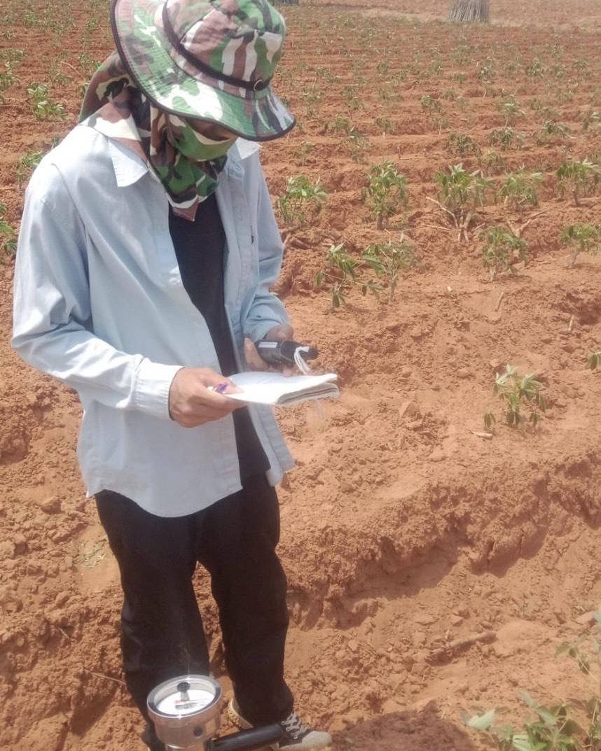 ภาพประกอบที่ 7