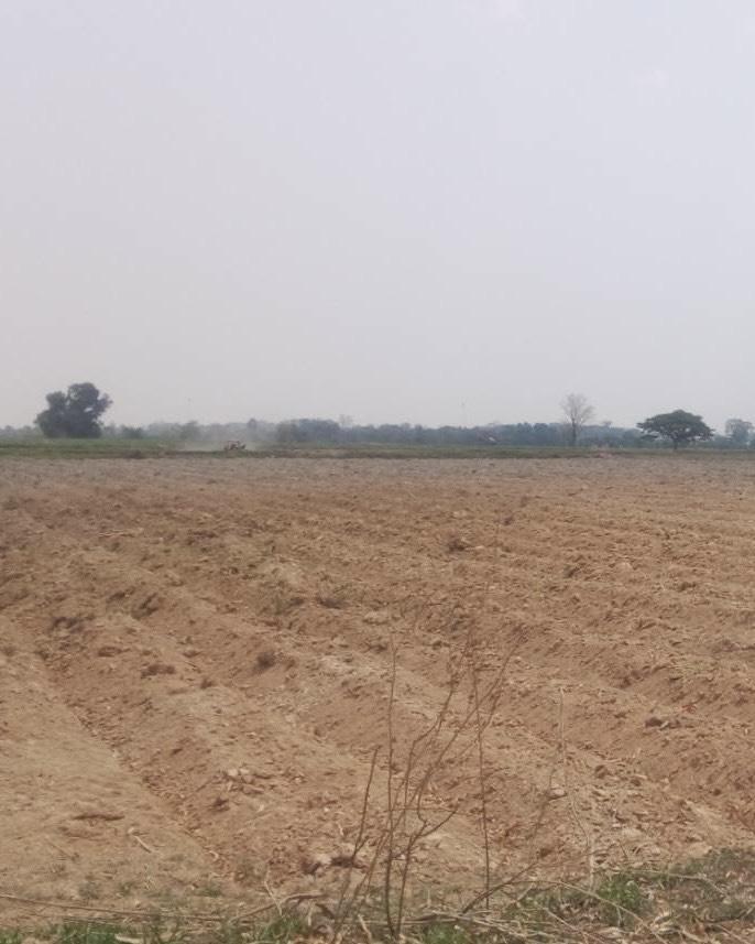 ภาพประกอบที่ 8