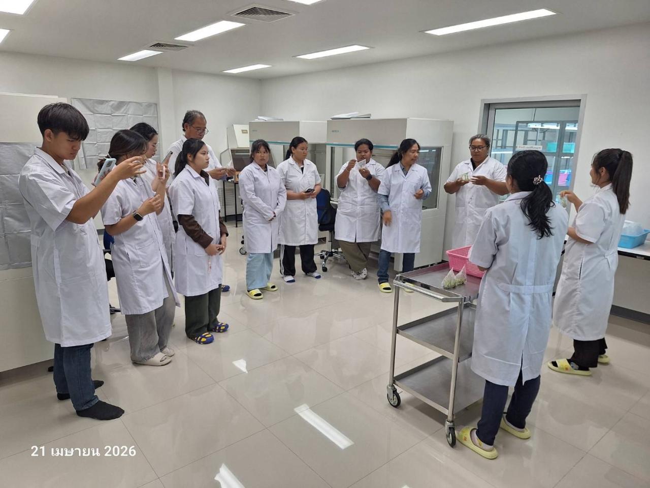 ภาพประกอบที่ 6