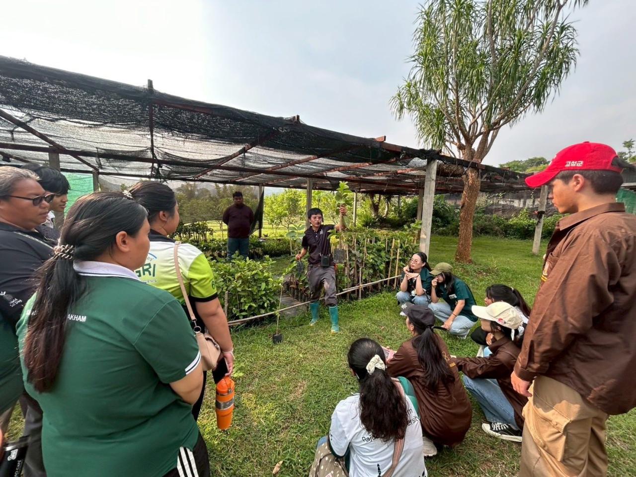 ภาพประกอบที่ 7