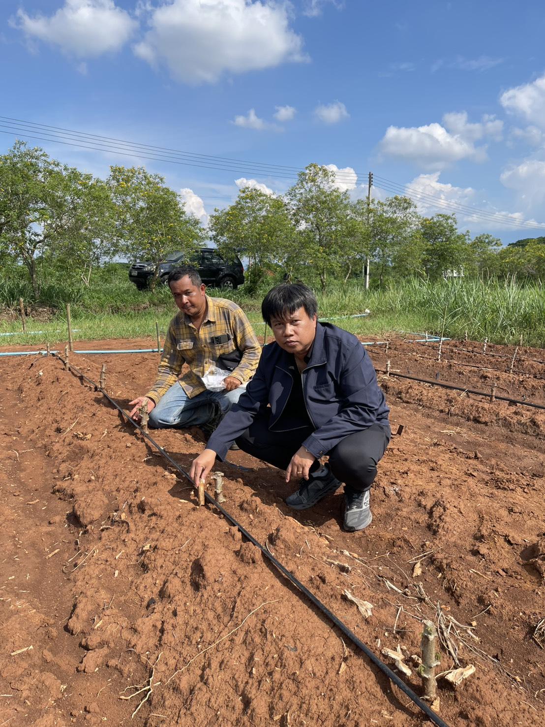 ภาพประกอบที่ 2