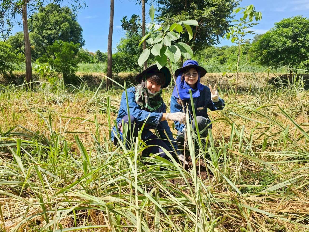 ภาพประกอบที่ 5