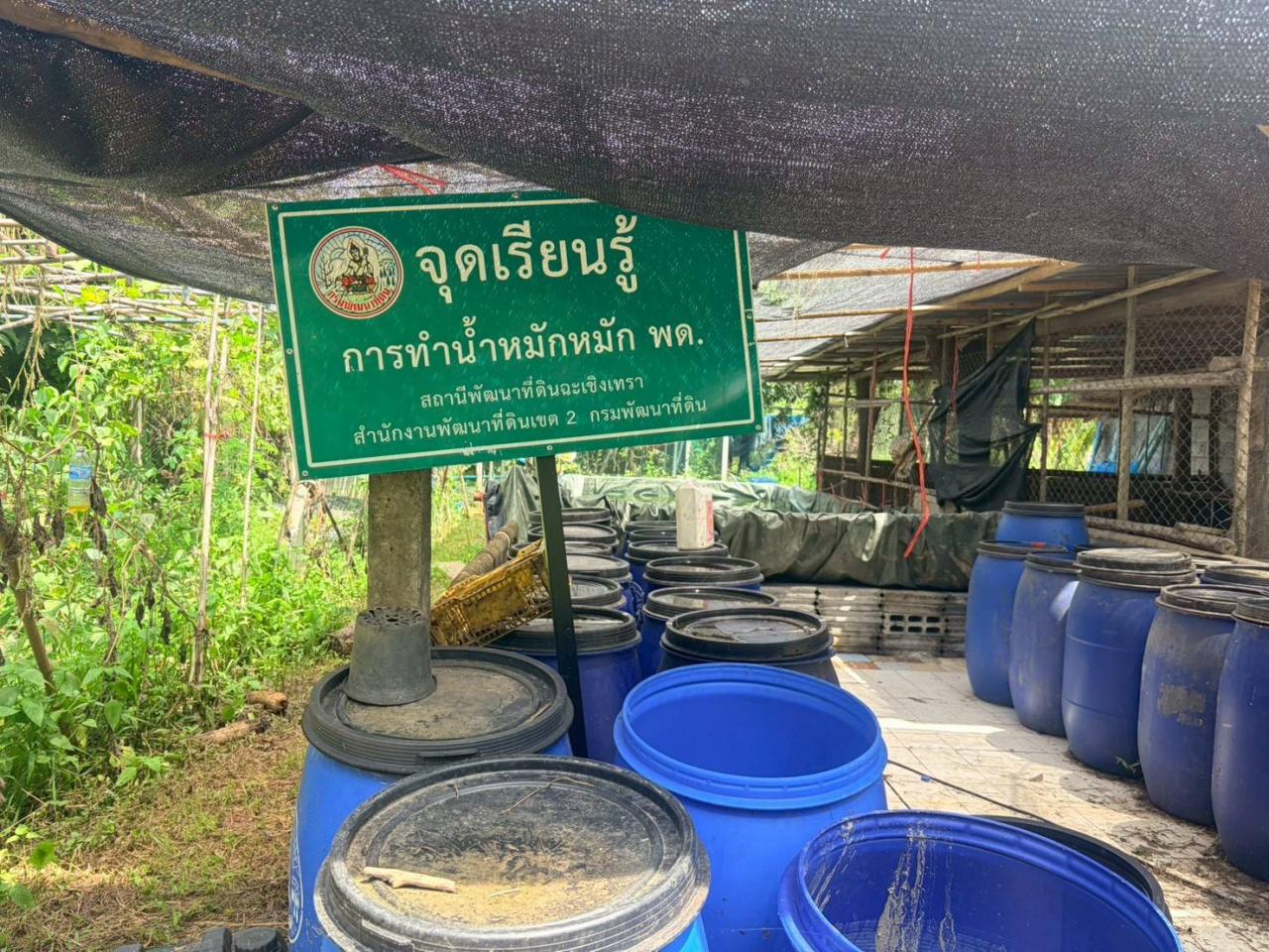 ภาพประกอบที่ 5
