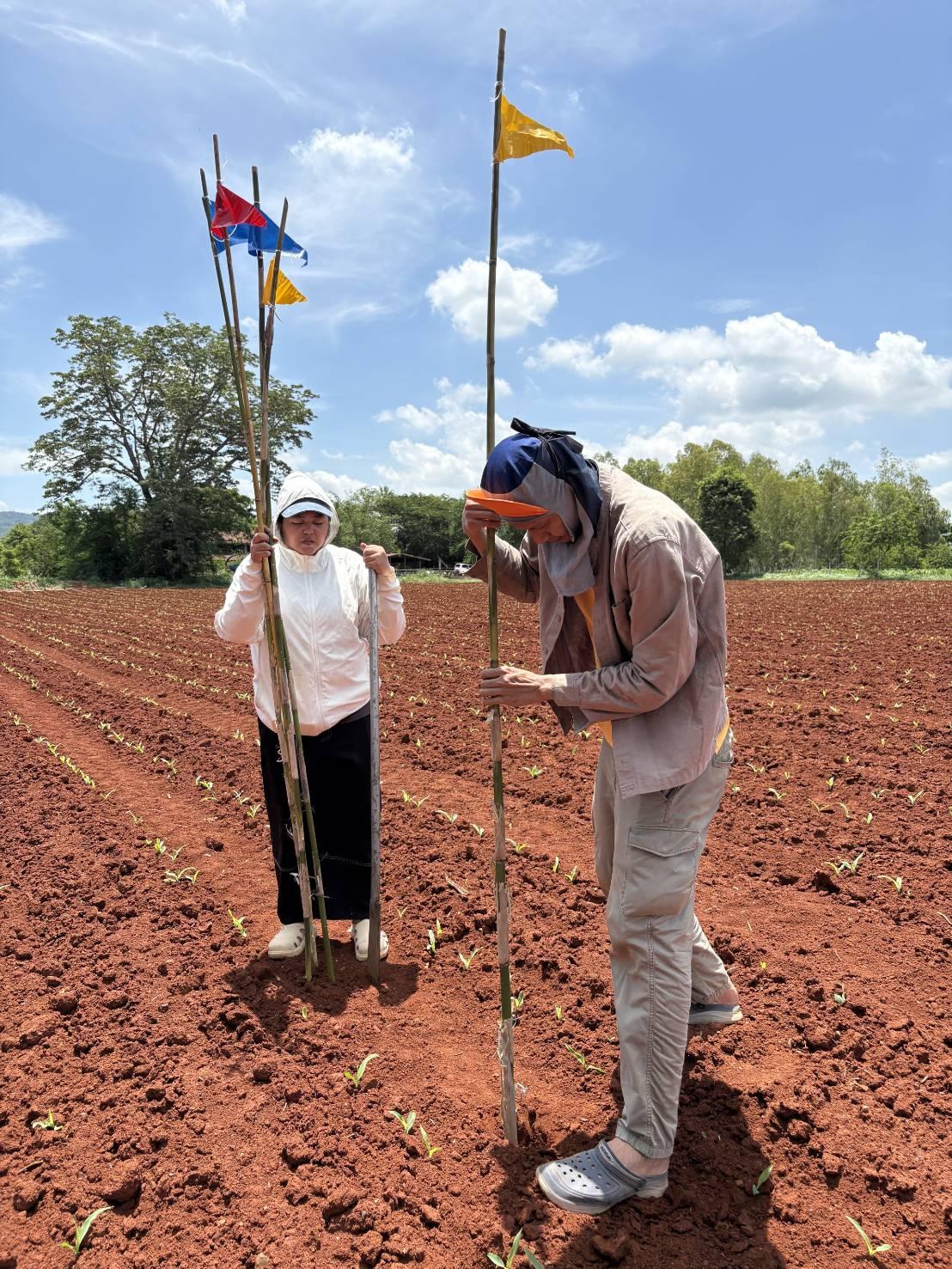 ภาพประกอบที่ 5