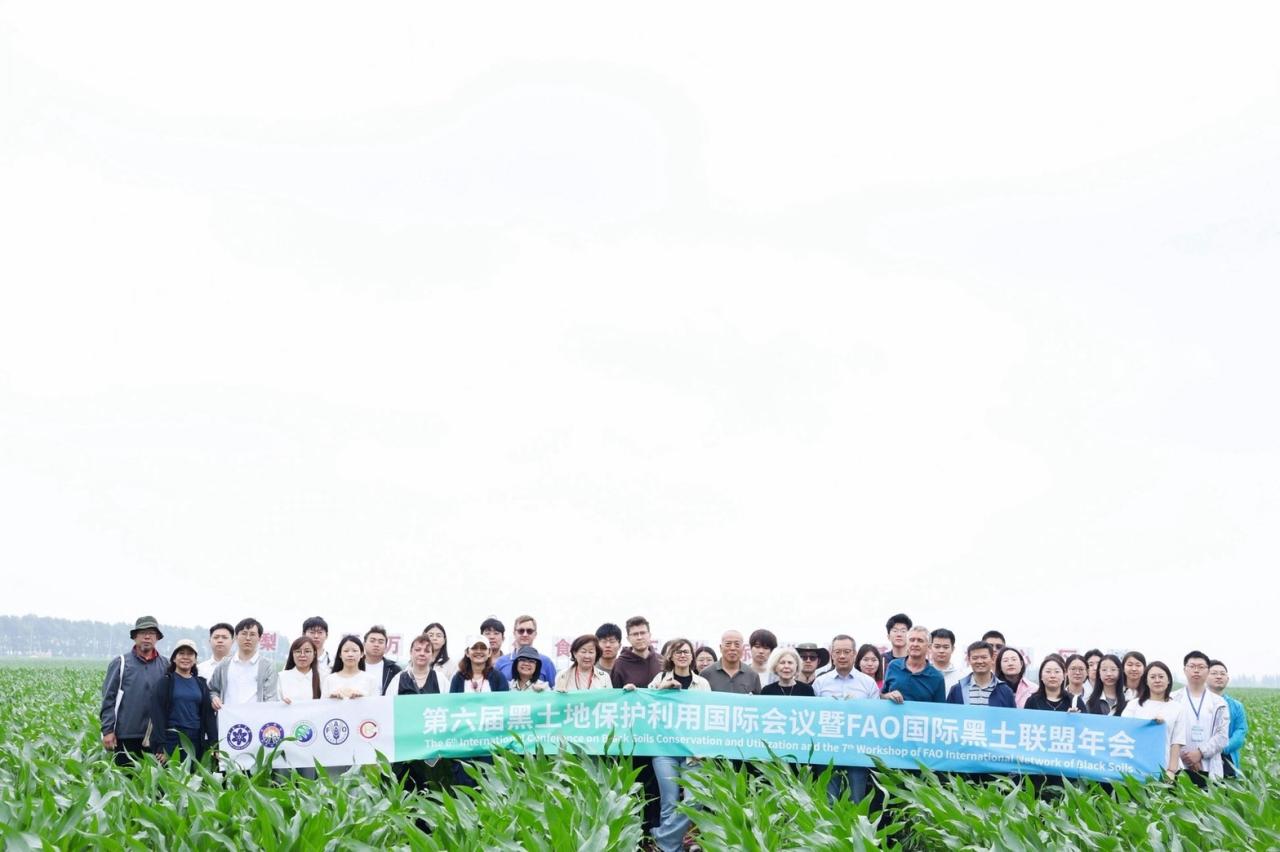 ภาพประกอบที่ 11