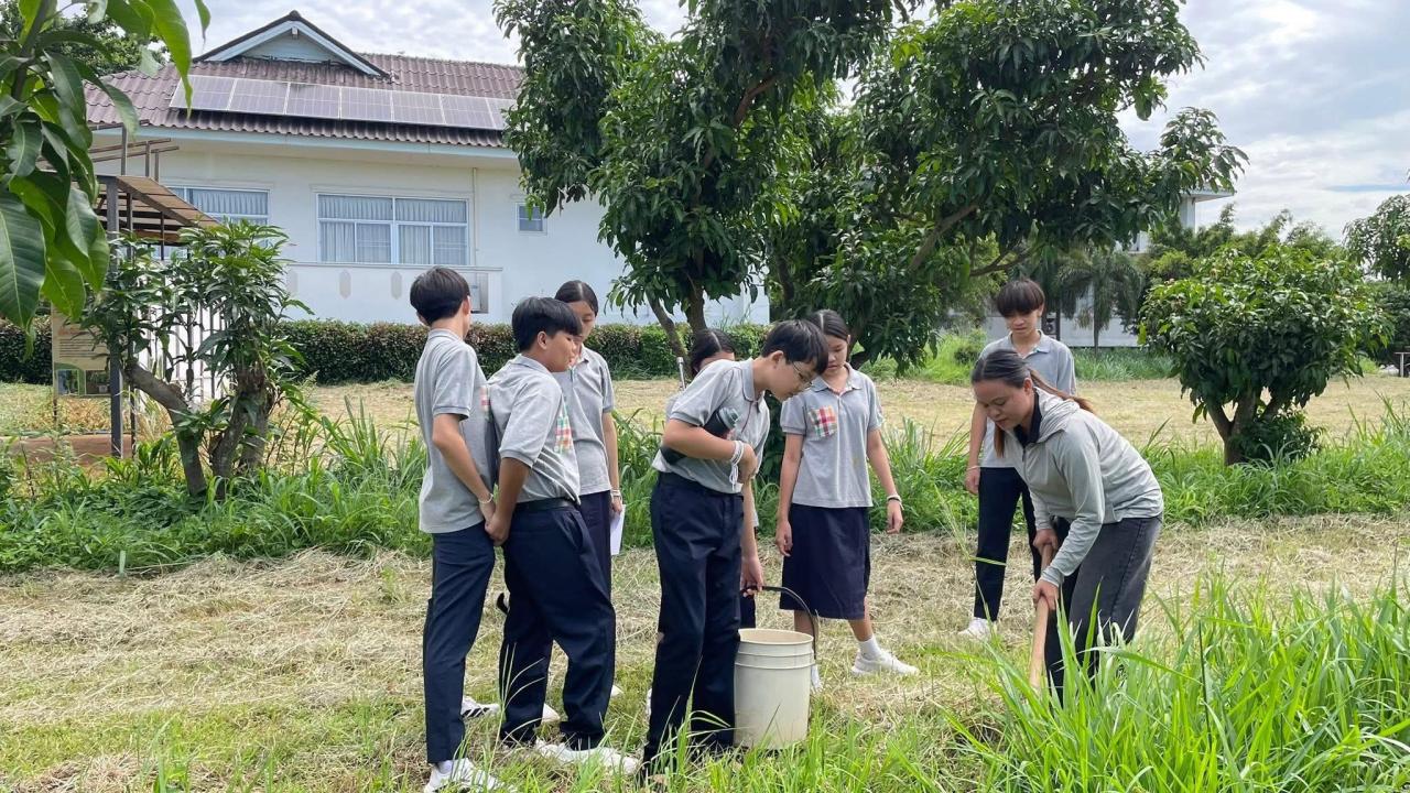 ภาพประกอบที่ 4