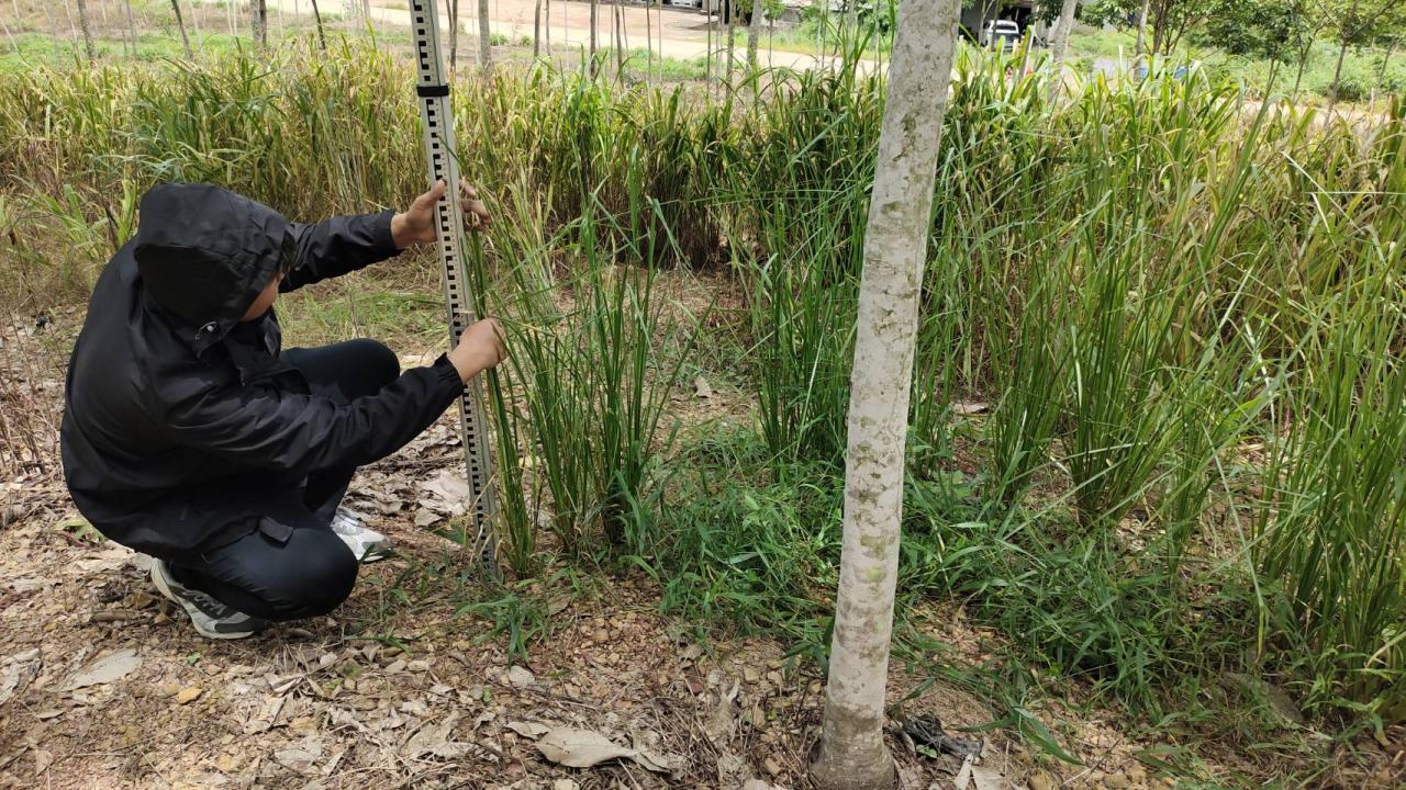 ภาพประกอบที่ 2