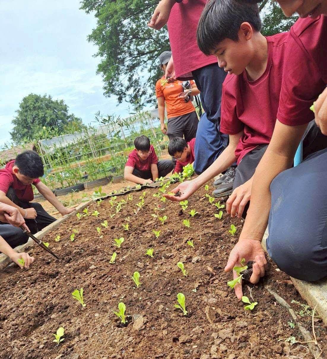 ภาพประกอบที่ 3