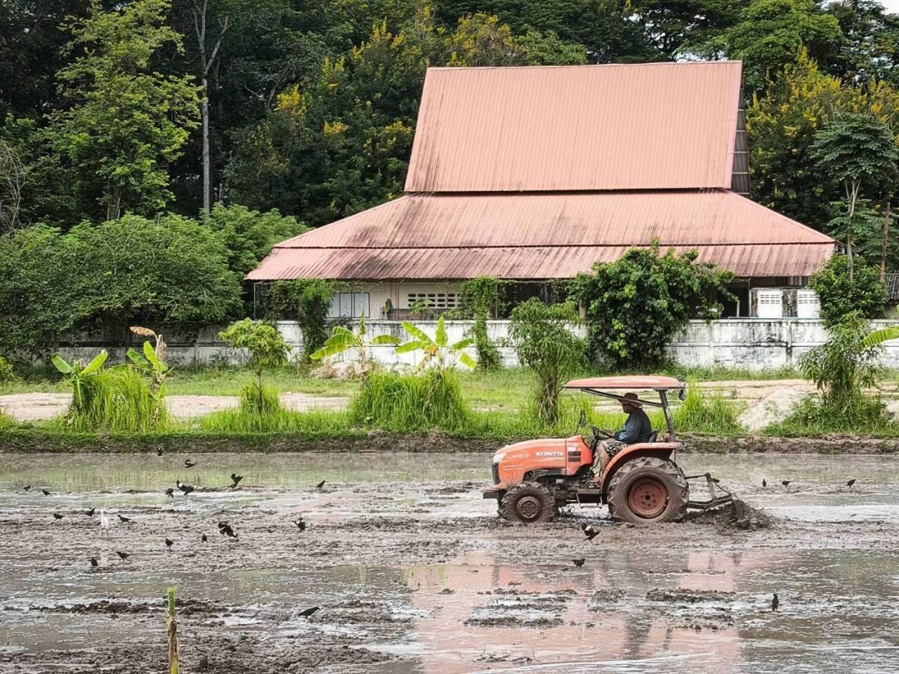 ภาพประกอบที่ 4